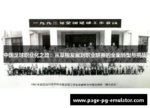 中国足球职业化之路：从草根发展到职业联赛的全面转型与挑战