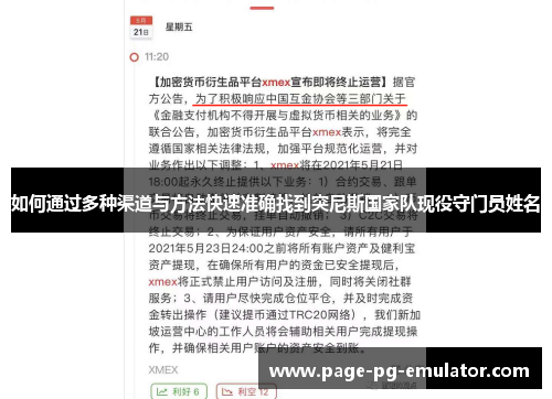 如何通过多种渠道与方法快速准确找到突尼斯国家队现役守门员姓名