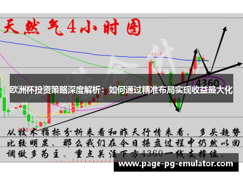 欧洲杯投资策略深度解析：如何通过精准布局实现收益最大化