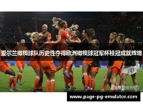 爱尔兰橄榄球队历史性夺得欧洲橄榄球冠军杯桂冠成就辉煌