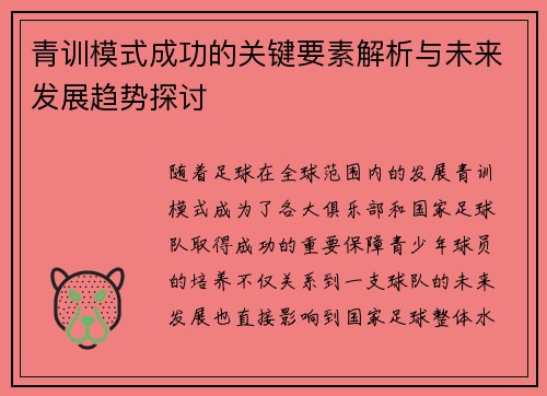 青训模式成功的关键要素解析与未来发展趋势探讨