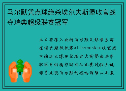 马尔默凭点球绝杀埃尔夫斯堡收官战夺瑞典超级联赛冠军
